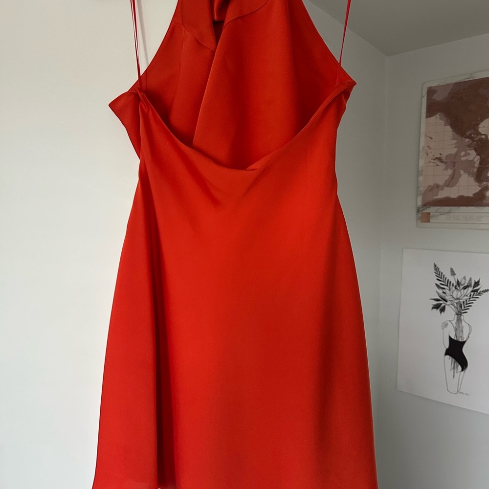Aritzia Vibrant Red Mini Dress